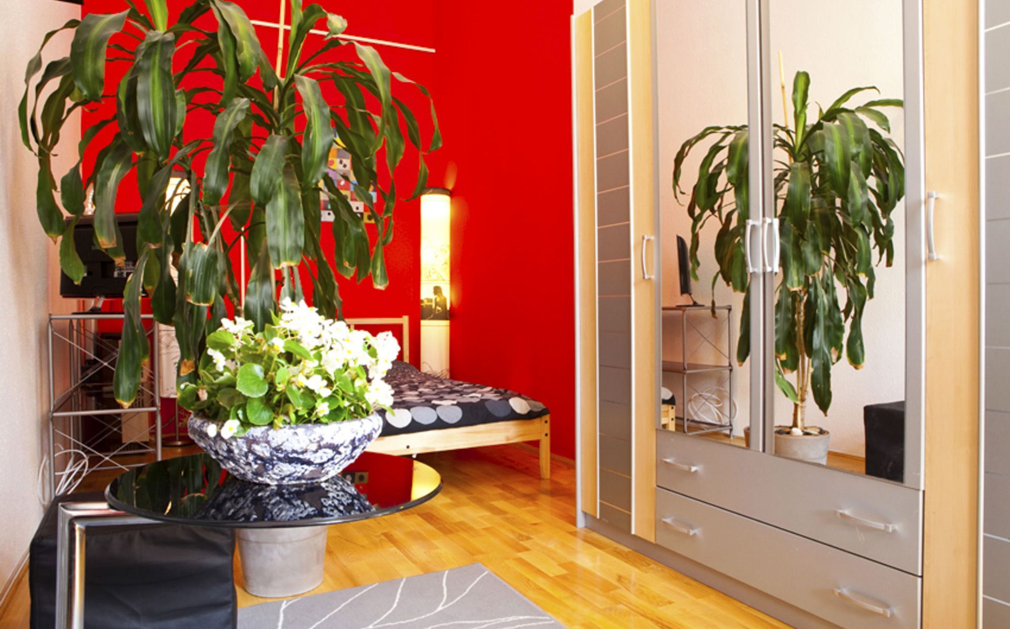 Souper Downtown-kiraly Street Apartament *